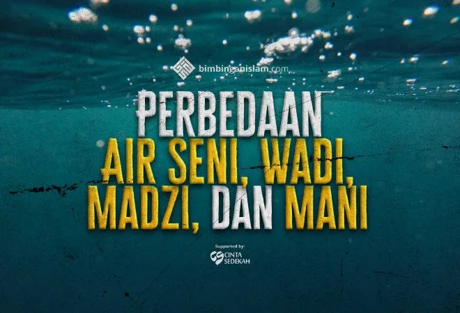 madzi