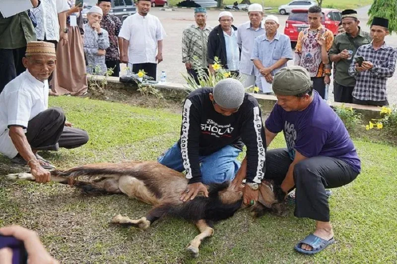 adab menyembelih