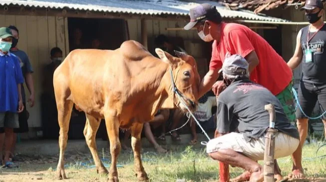 tata cara menyembelih