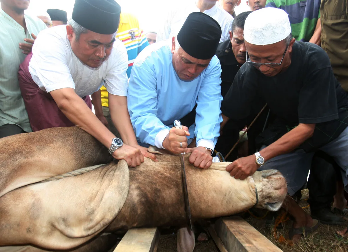 doa sapi kurban - Hukum dan Kedudukan Doa Potong Kurban dalam Ibadah