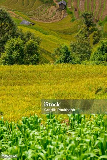warisan