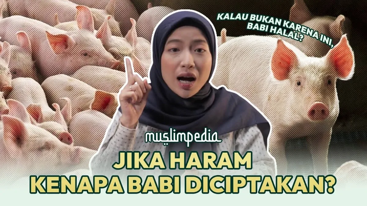 kenapa babi haram
