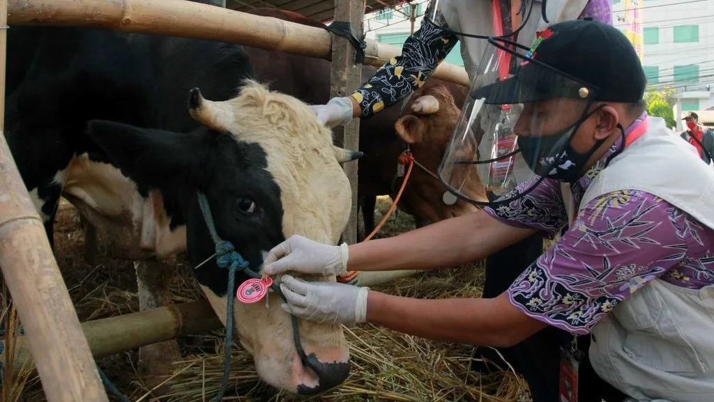 doa menyembelih sapi: Syarat Sah dan Rukun Penyembelihan yang Wajib Diketahui