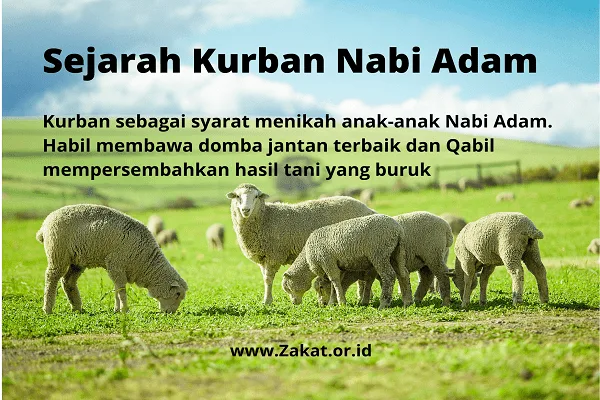 ayah tentang qurban: Ayat tentang Qurban sebagai Pengingat Ketakwaan