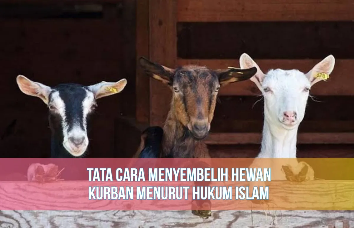 Rukun, Syarat Sah, dan Unsur Wajib dalam Adab Menyembelih