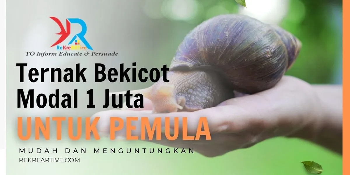 bekicot halal atau haram
