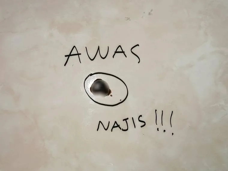 najis