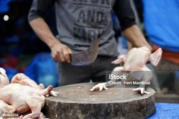 Doa Memotong Ayam Lengkap Arab, Latin, dan Artinya