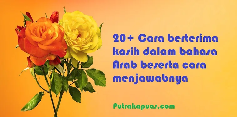 ucapan terima kasih arab: Menempatkan Frasa dalam Konteks Percakapan Nyata