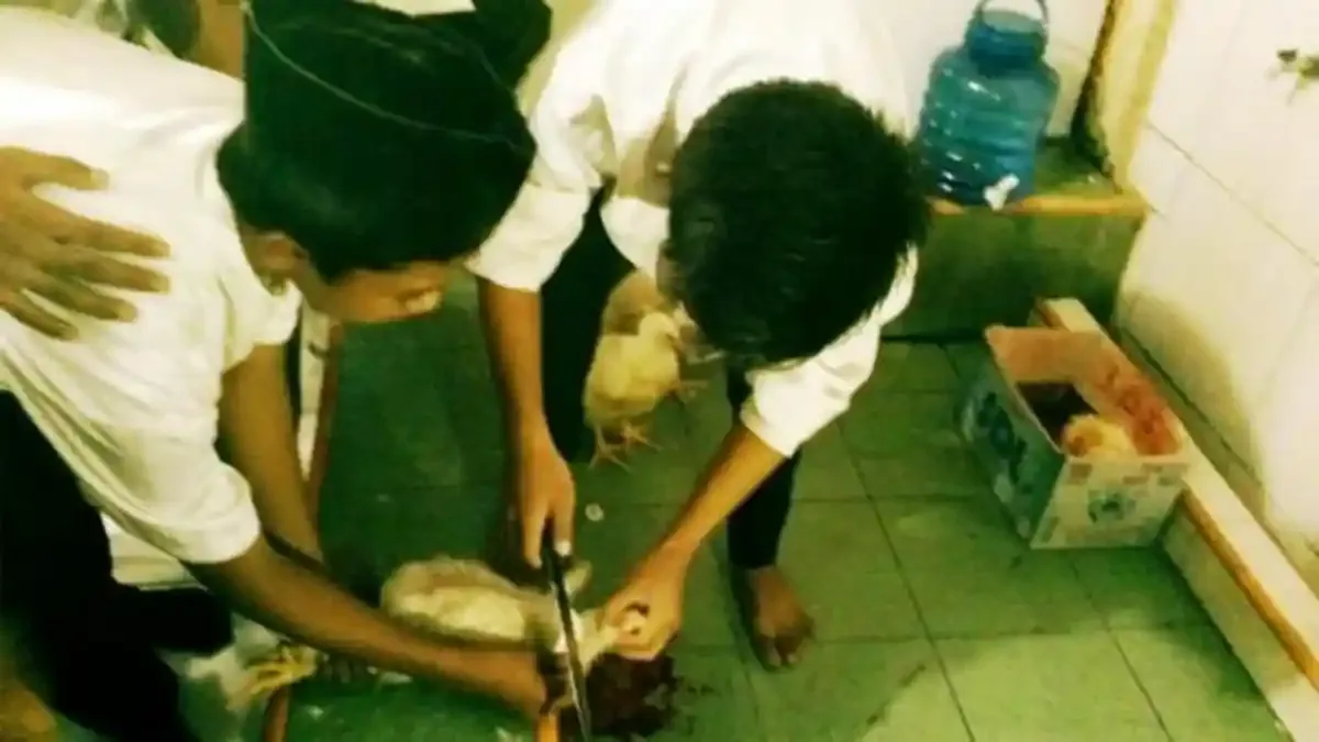 doa potong ayam menurut islam - Panduan Praktis Membaca Doa Sembelih Ayam untuk Pemula