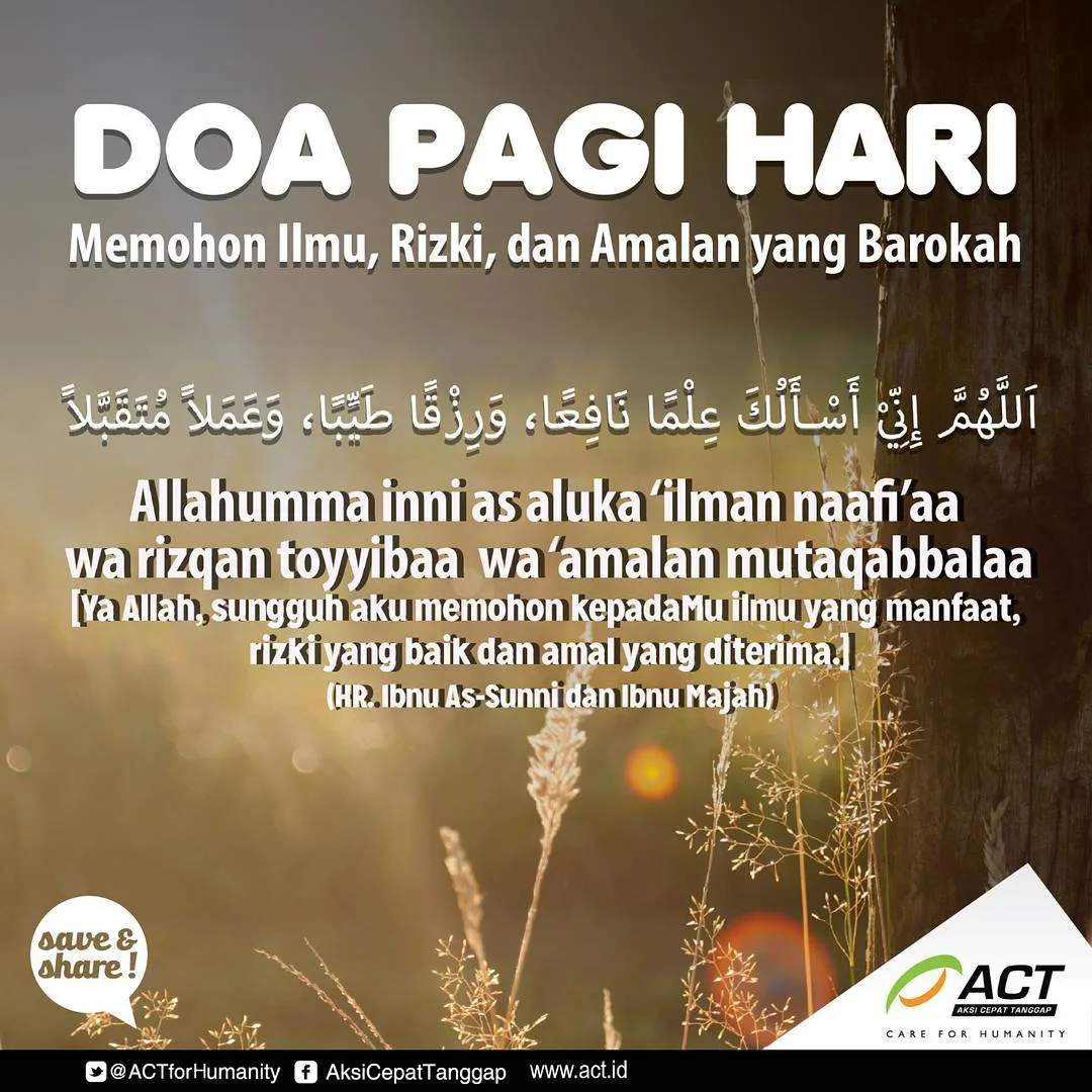 Doa Pagi Hari Lengkap Arab, Latin, dan Artinya: Bekal