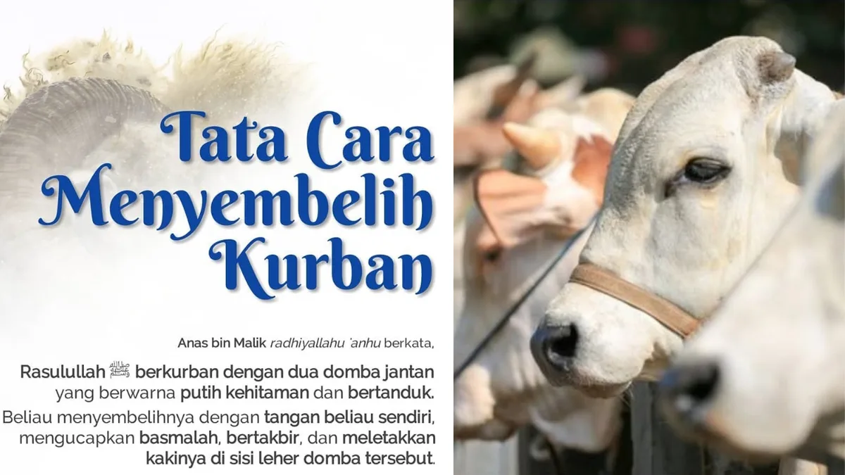 Studi Kasus: Menerapkan Syarat Menyembelih di Berbagai