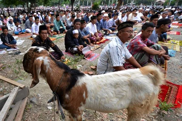 doa memotong kambing