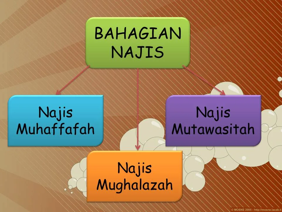 pengertian najis