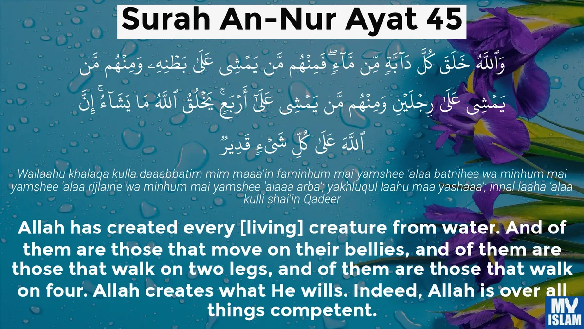 surat al nur: Catatan Penting Soal Riwayat dan Penafsiran