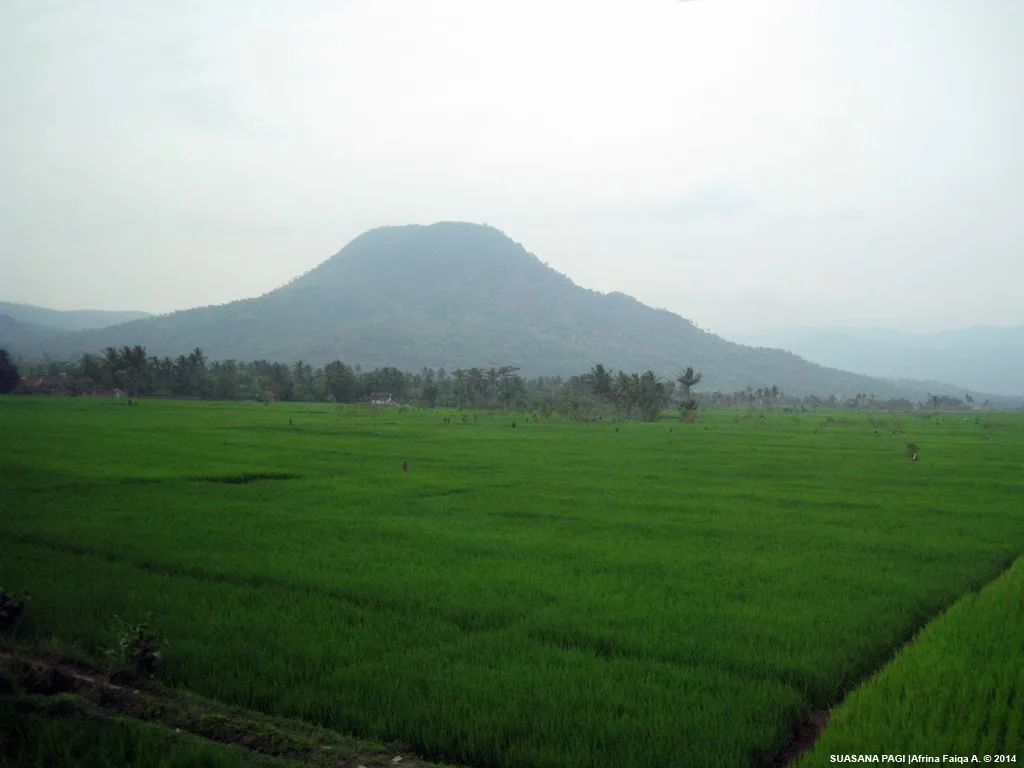 petang