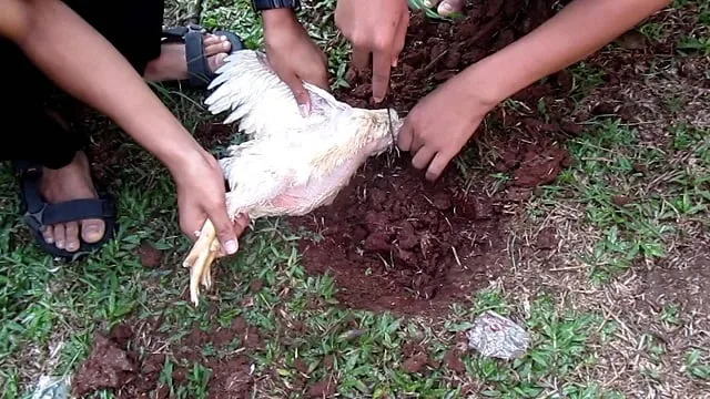 doa potong ayam menurut islam