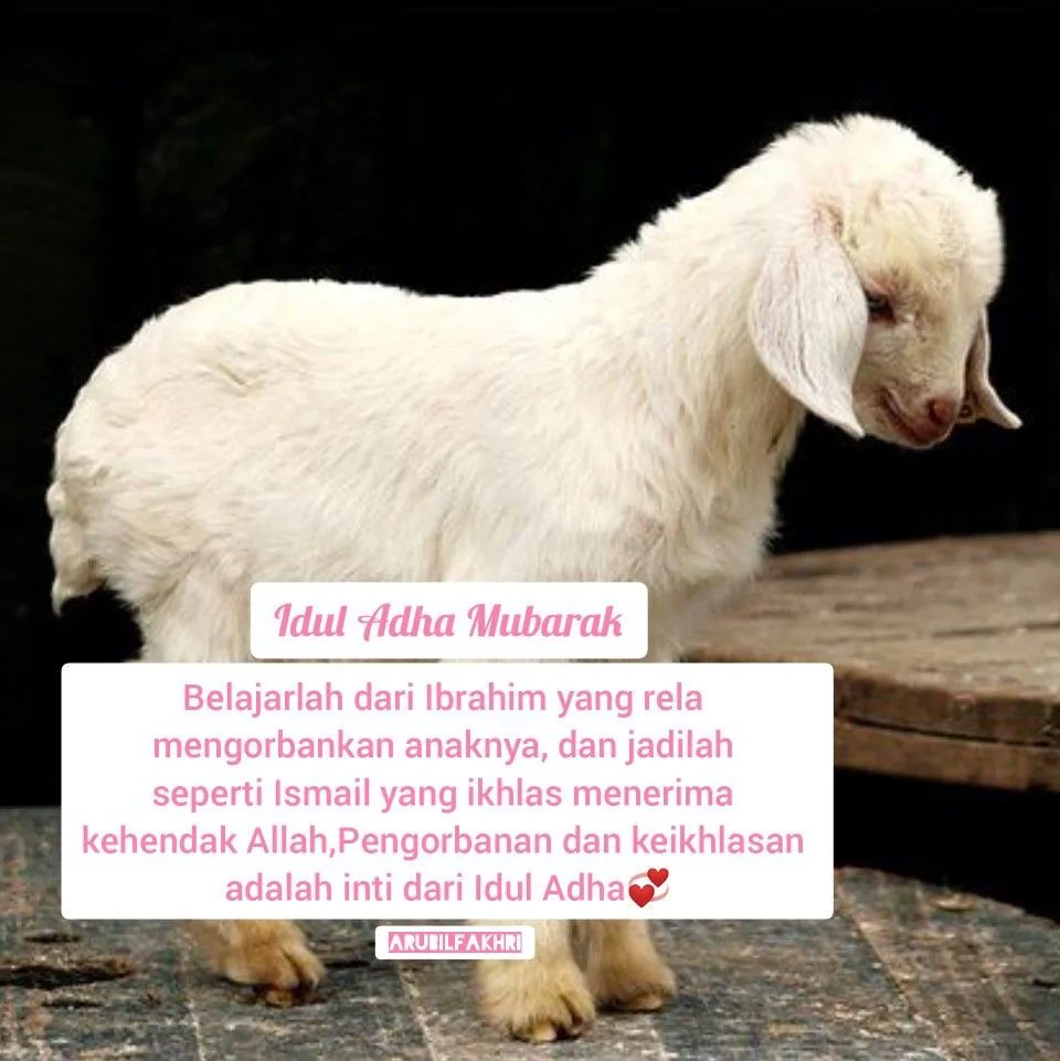 ayah tentang qurban - Membaca Ayat tentang Qurban Sesuai Konteks Zaman