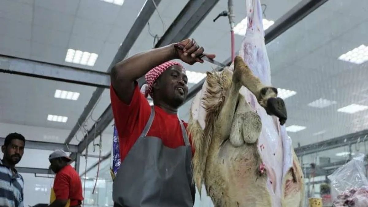 doa memotong kambing - Adab dan Syarat Sah Menyembelih Kambing Menurut Fikih
