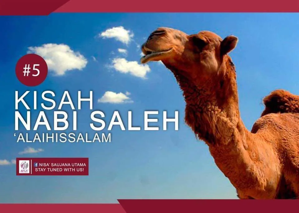 Kisah Nabi Saleh: Kisah Lengkap dan Hikmahnya
