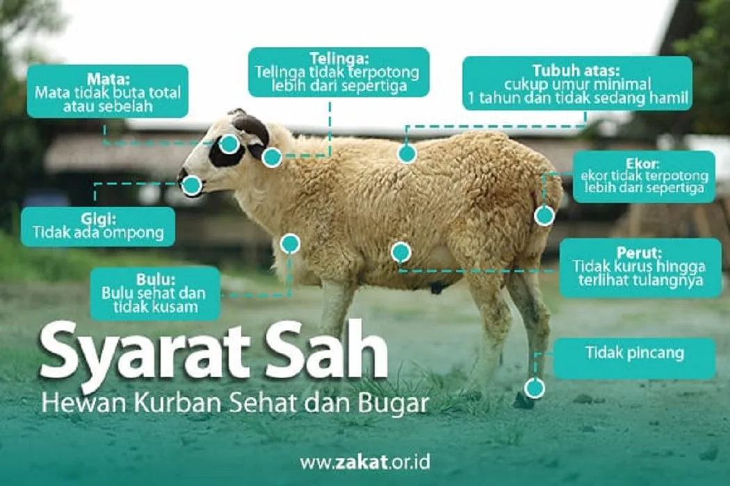 syarat menyembelih