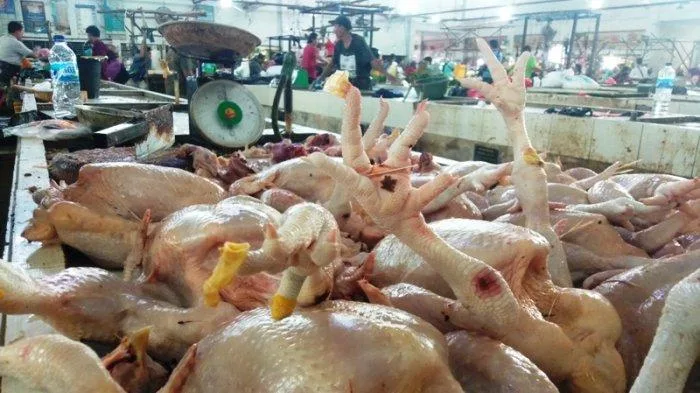 doa potong ayam menurut islam