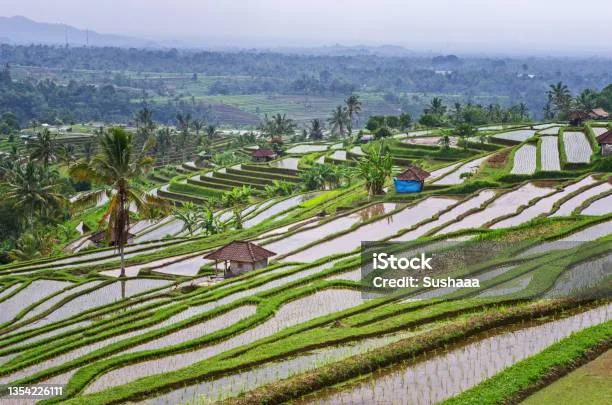 Menyiapkan Generasi yang Paham Warisan Sejak Dini