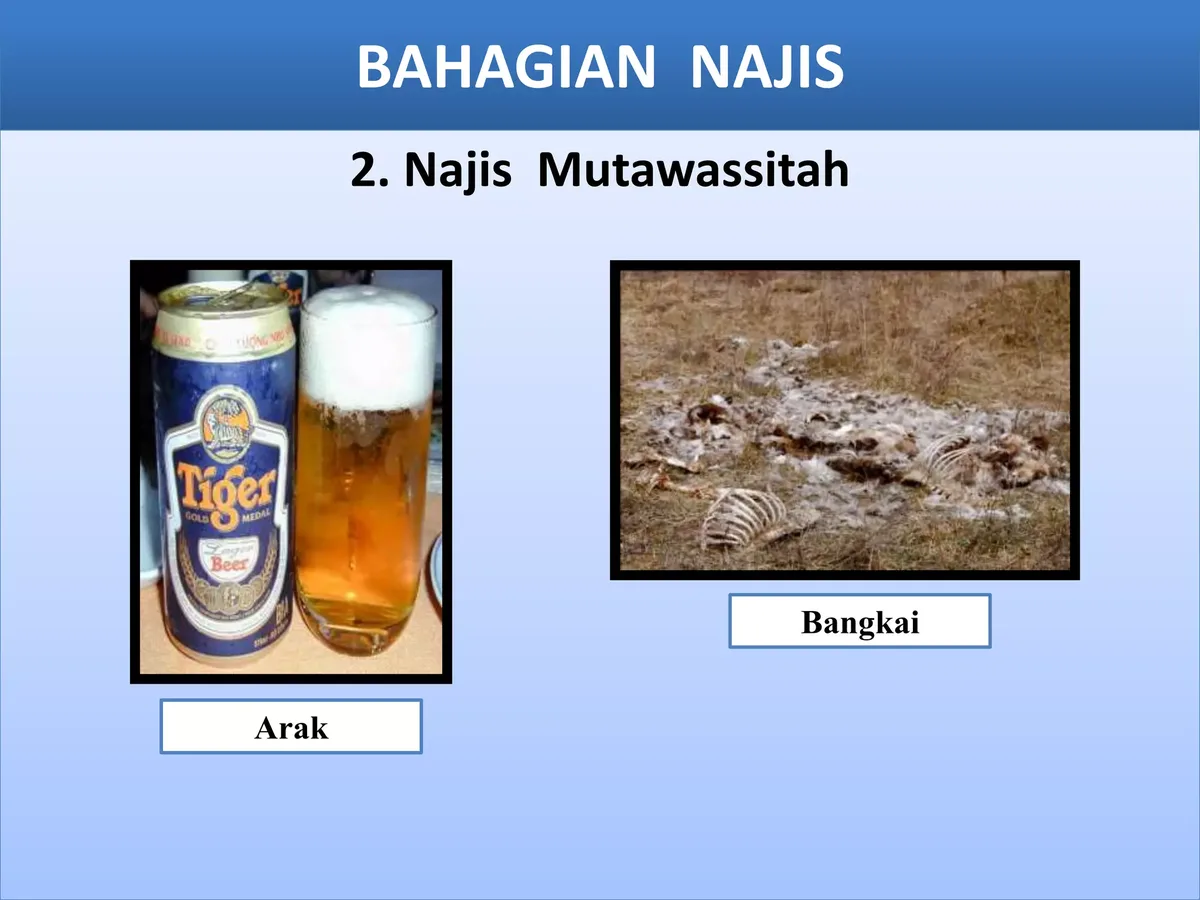 pengertian najis