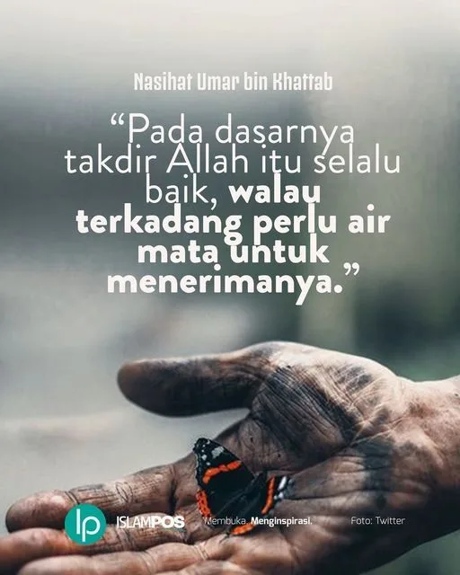 takdir allah: Menghadirkan Rasa Syukur dalam Setiap Ketetapan