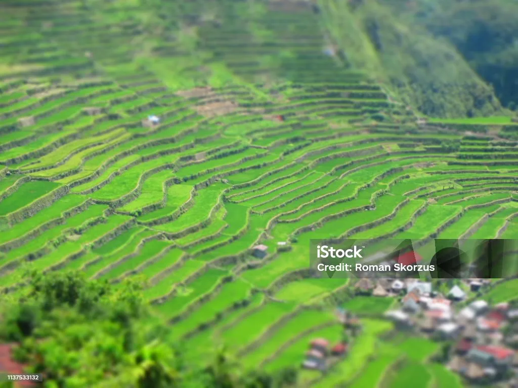 warisan