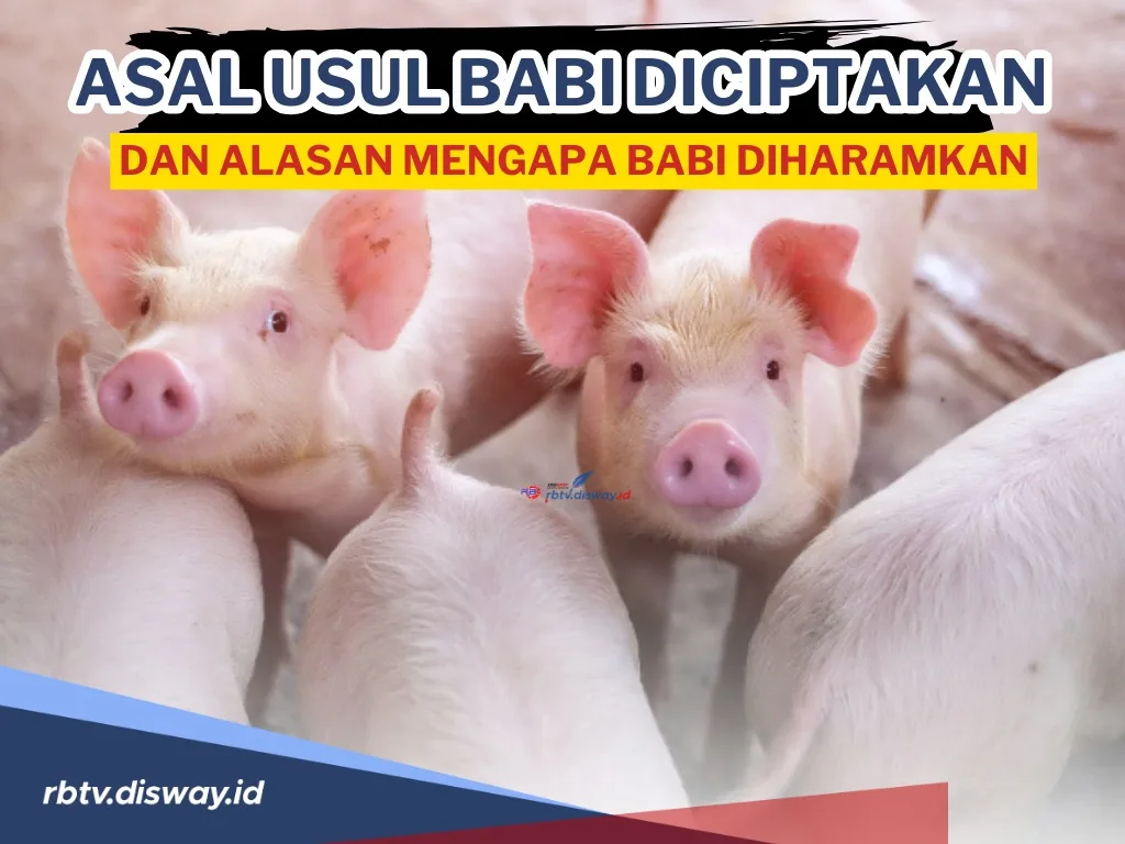 kenapa babi haram - Tabel: Perbandingan Hewan dalam Hukum Islam