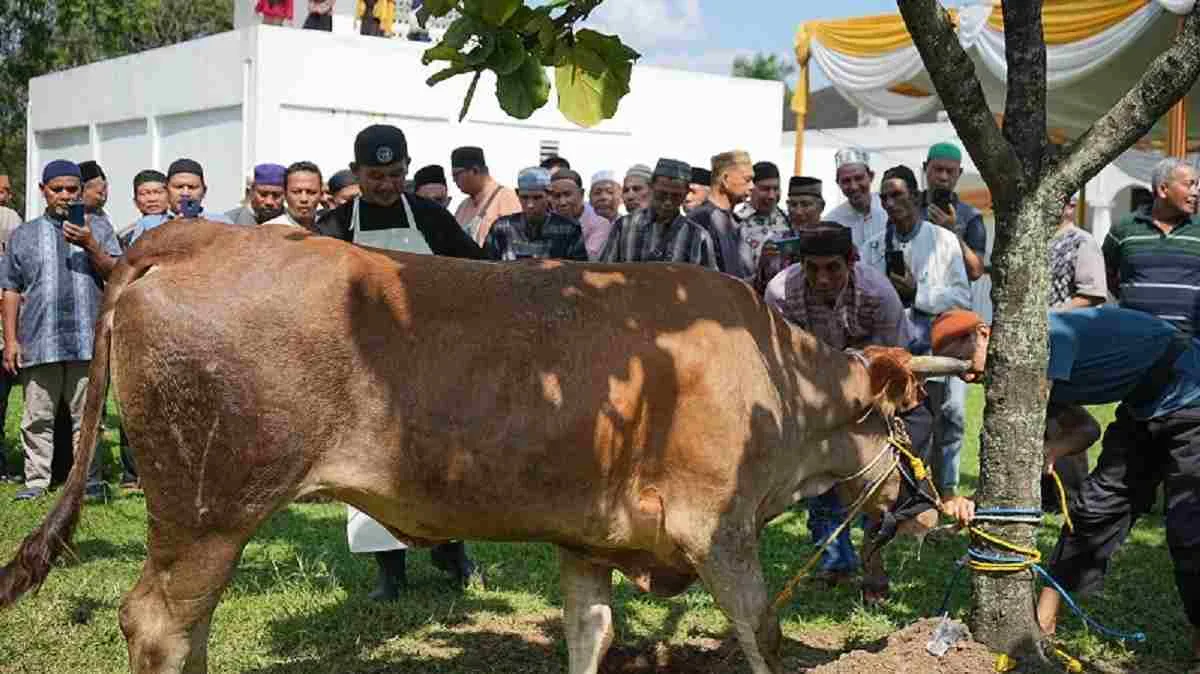 Adab Menyembelih dalam Islam dan Kaitannya dengan