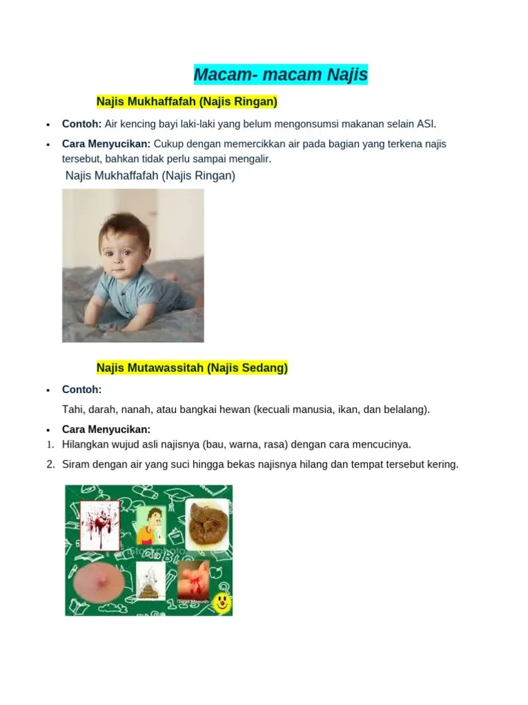 pengertian najis - Najis dan Makanan: Panduan Praktis Memilih Produk Berbasis