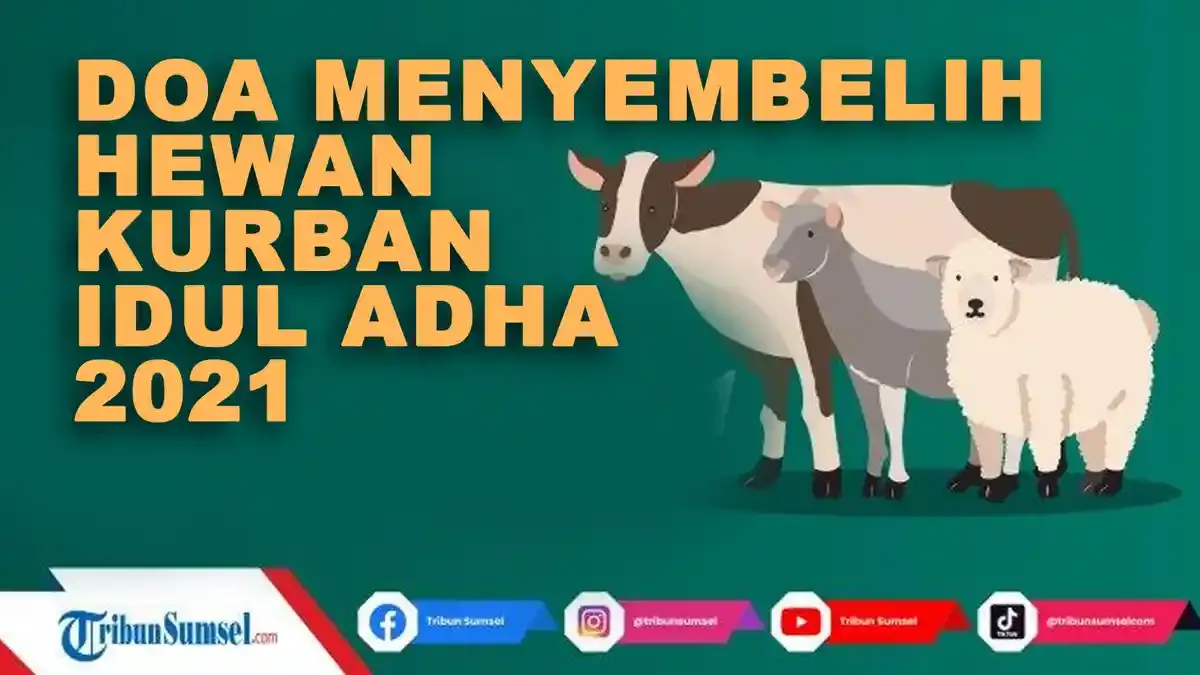 syarat menyembelih: Merangkai Praktik Penyembelihan yang Sah dan Beretika