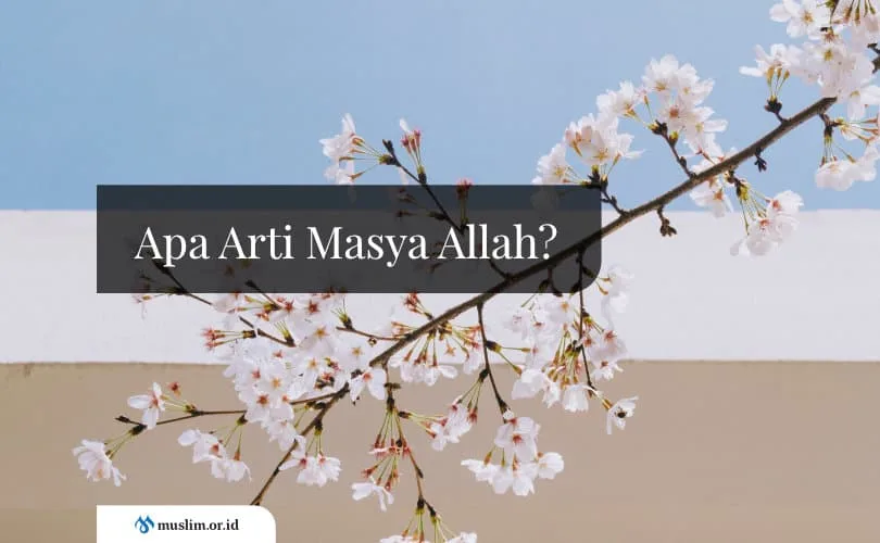 arti masya allah: Masya Allah Bahasa Arabnya dan Susunan Katanya