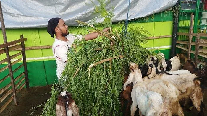 doa memotong kambing