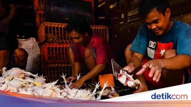 doa potong ayam menurut islam: Pertanyaan yang Sering Muncul Seputar Doa Potong Ayam