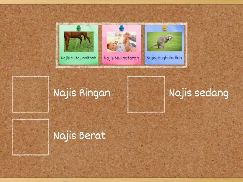 pengertian najis: Kesalahan Umum saat Membersihkan Najis dan Cara