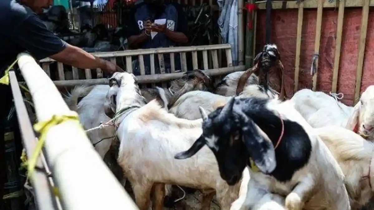 doa memotong kambing