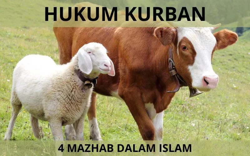 hukum kurban - Dalil Al-Qur'an tentang Perintah Kurban