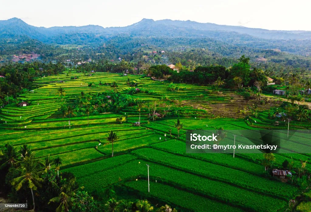 Kesalahan dalam Memandang Harta Warisan sebagai Sumber