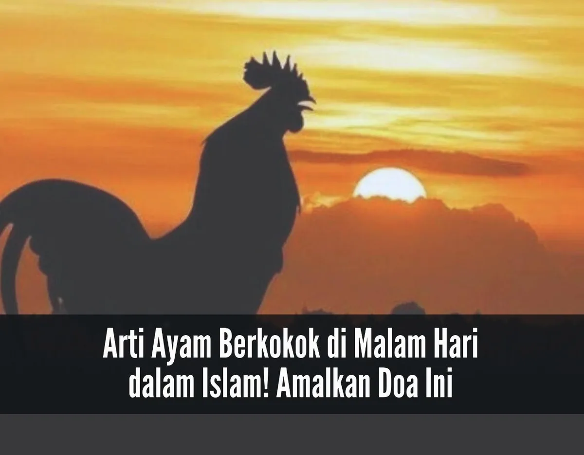 doa potong ayam menurut islam