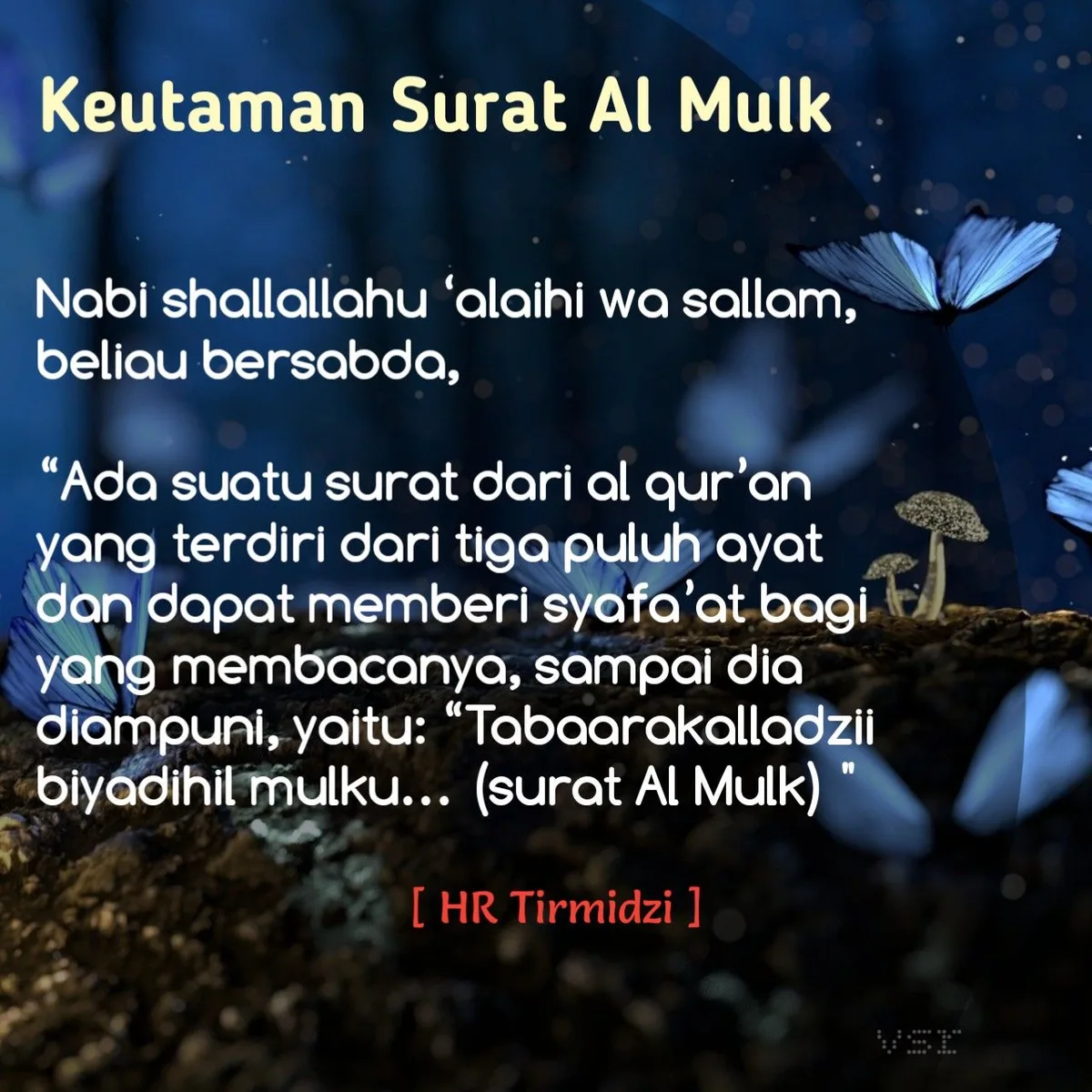 surat al mulk dan keutamaannya - Hukum Membaca Surat Al-Mulk di Berbagai Situasi