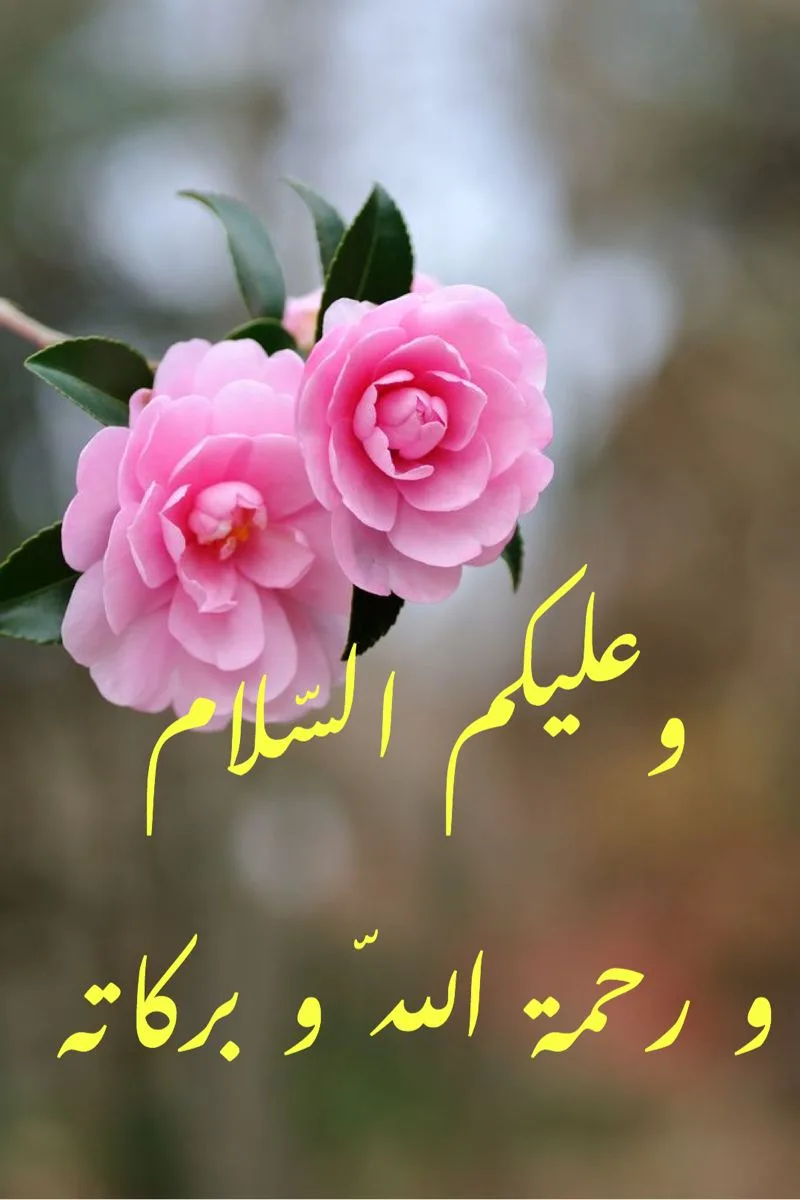 Kaitan Wa'alaikum Salam dengan Adab Bertamu dan Bertegur