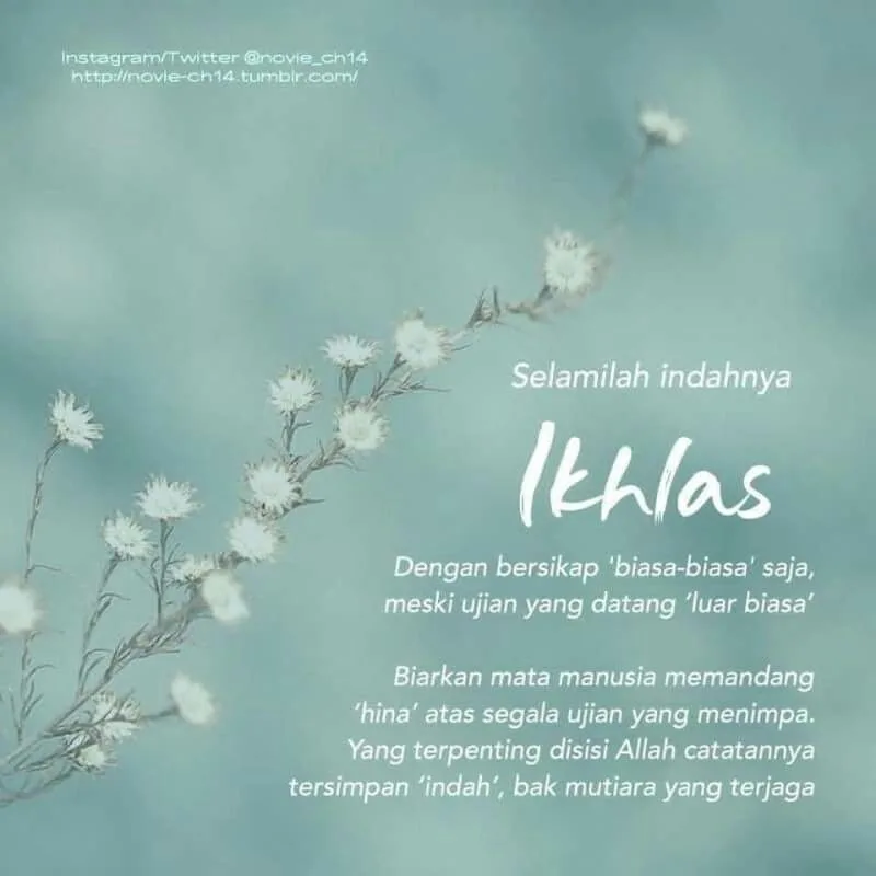 Doa Ikhlas: Merangkai Permohonan yang Benar-Benar Lepas