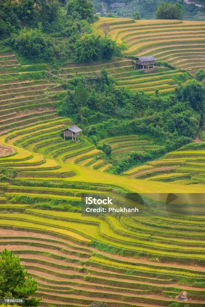 warisan
