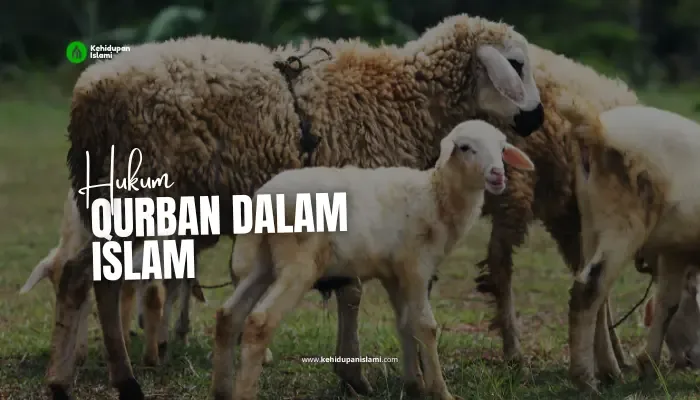 hukum kurban: Kurban Kolektif: Aturan Patungan Sapi dan Kerbau