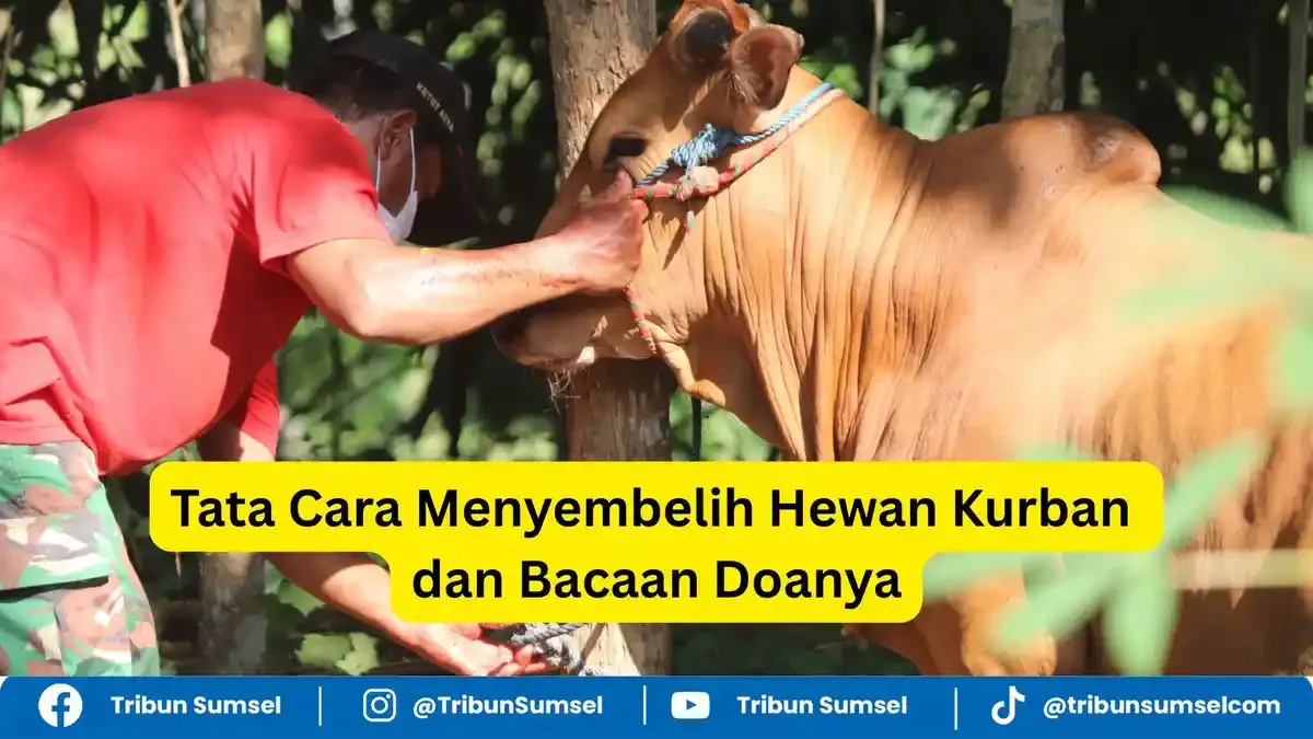 Belajar Tata Cara Menyembelih Itu Investasi Ibadah