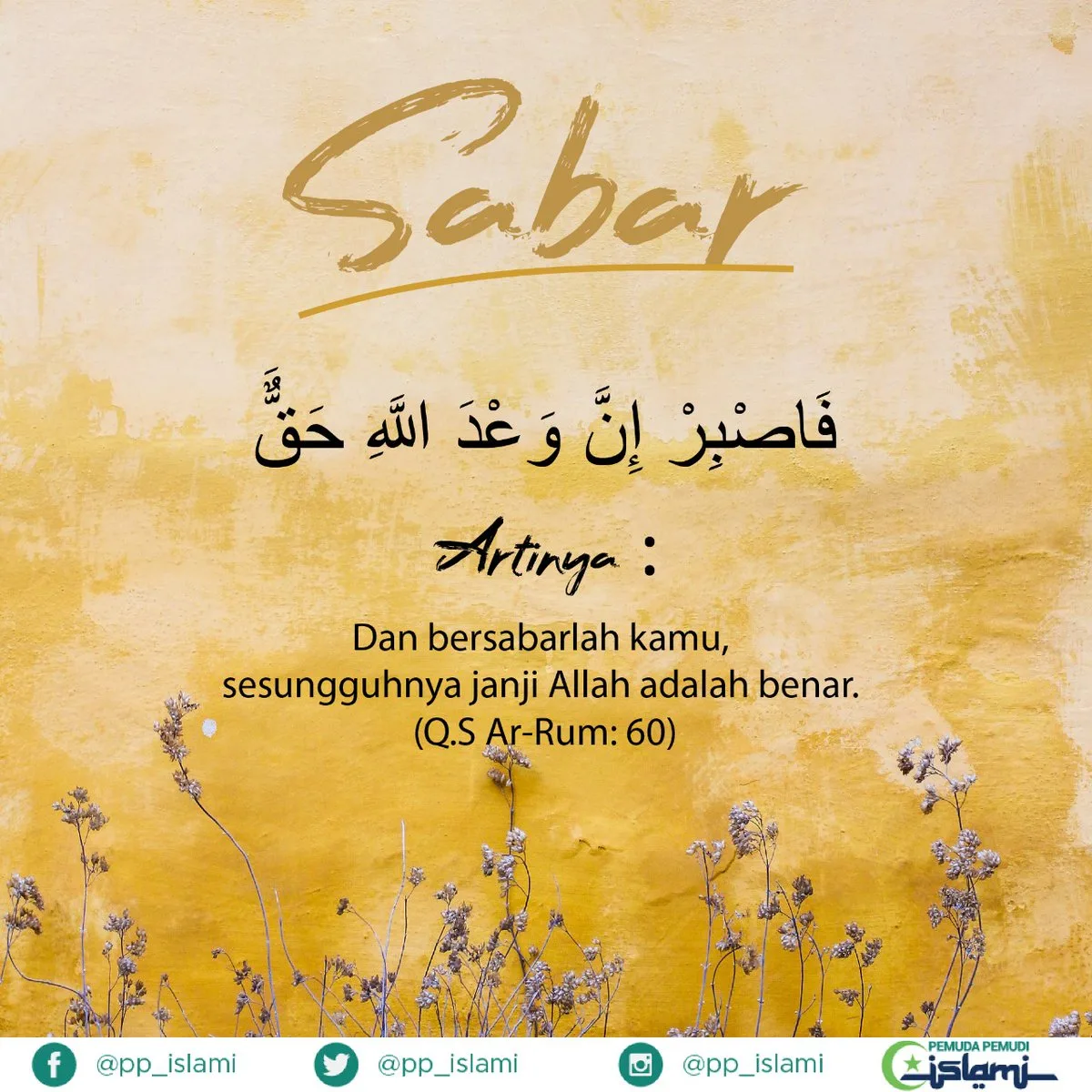 ayat tentang sabar - Buah dan Keutamaan Bersabar: Mengapa Layak Diperjuangkan