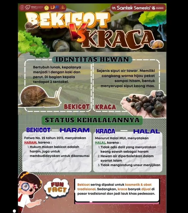 Mengapa Bekicot Halal atau Haram Menjadi Perbincangan